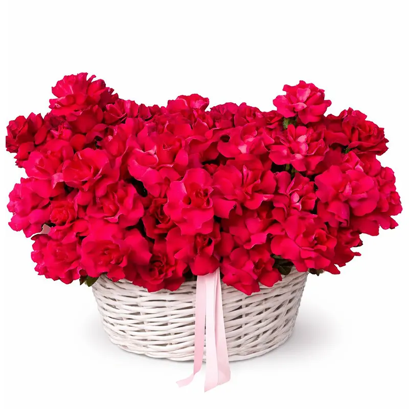 Ecuadorian Pink Floyd Basket